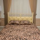 Комплект для сна Сладкие Мечты Леопард, Цвет комплекта: Леопард , Размер: 1 спальный , Размер наволочки: 50*70